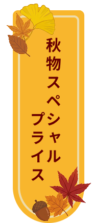 アウトレット