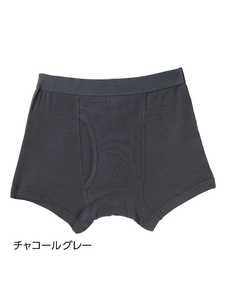 安心快適ボクサーブリーフ(2枚組)２吸水量20cc大きめサイズ／紳士用／メンズ／下着／尿漏れ／消臭／抗菌／滲み防止／前開き【CF】